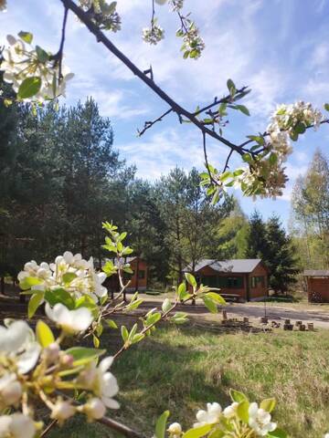 Фото Лоджи Agroturystyka Oaza Ciszy i Spokoju г. Międzychód 2